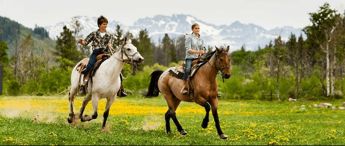 Confident plus-size woman riding Benson a horse through a field with a smile on her face.